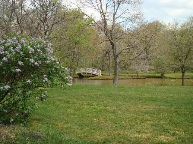 view neighbor's property